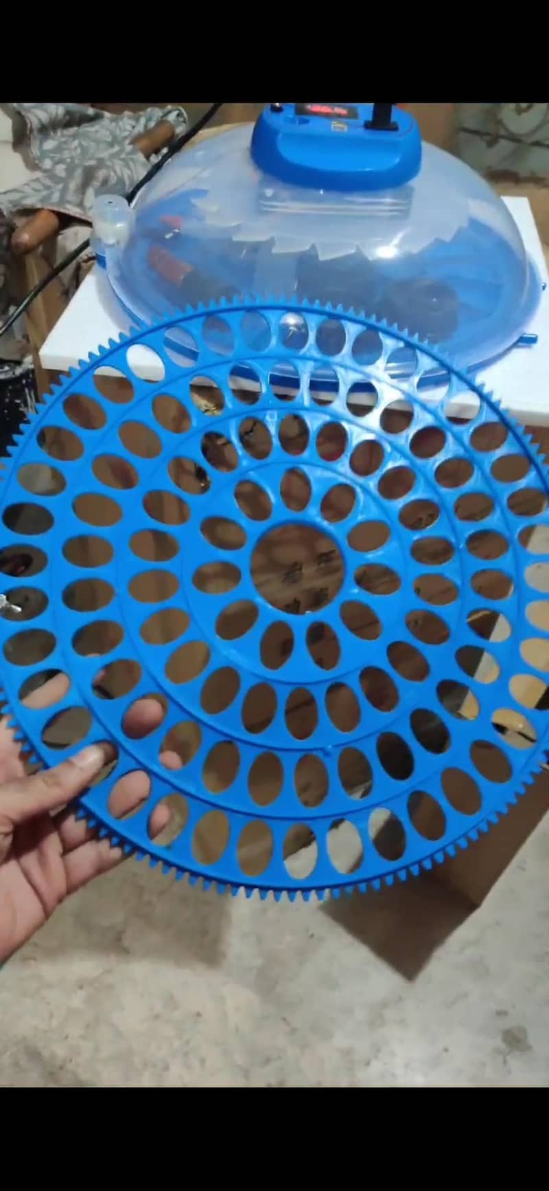 26 EGG ncubator | eggs hatching machine 15