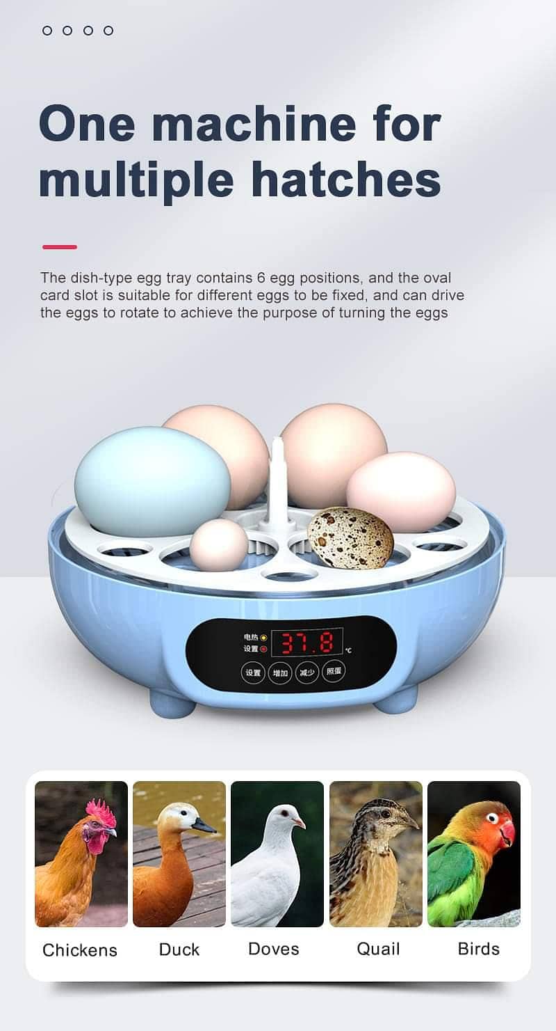 26 EGG ncubator | eggs hatching machine 16