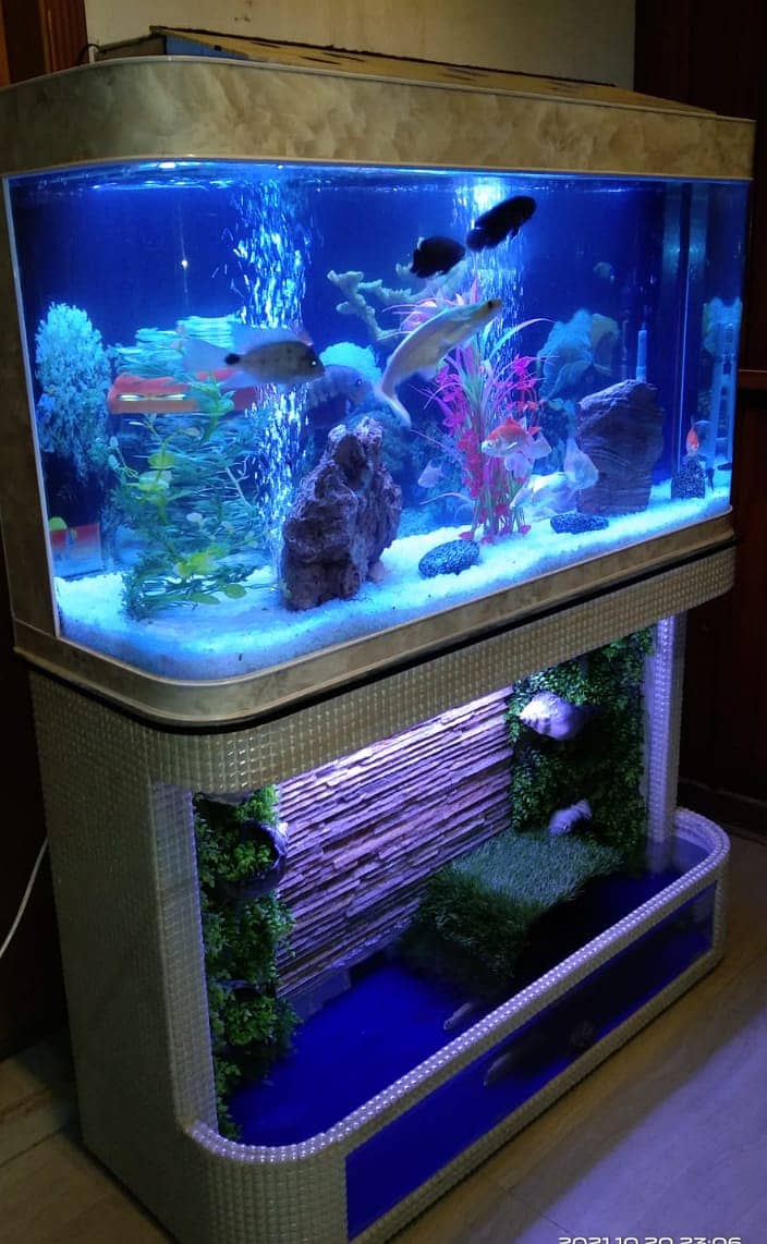 AQUARIUM || FİSH TANK || Luxury Aquariums || Fancy Aquariums for sale ...
