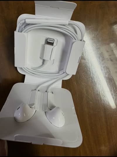 Apple Original Earphones