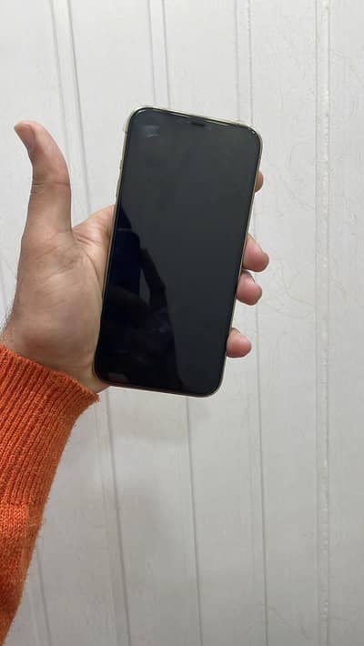 iPhone 12 Pro Max 128GB PTA Approved 91% Health 10/10 With Box & Cable