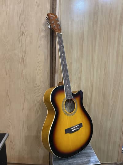 Guitar professional for sale