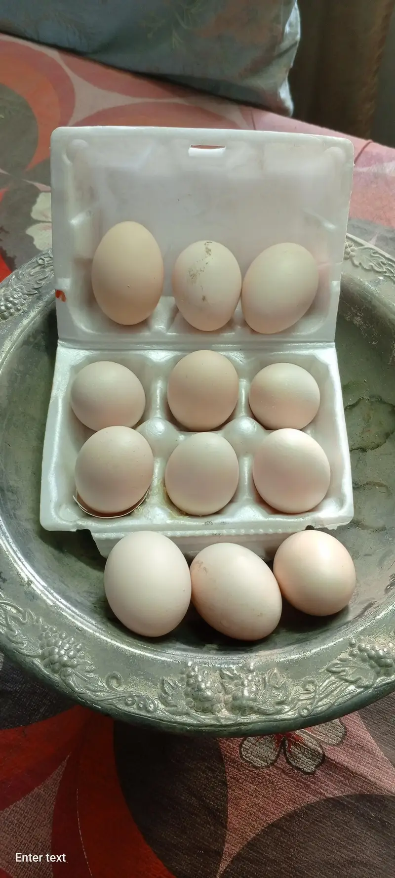 Aseel Lasani Fertilized eggs for sale — photo 2