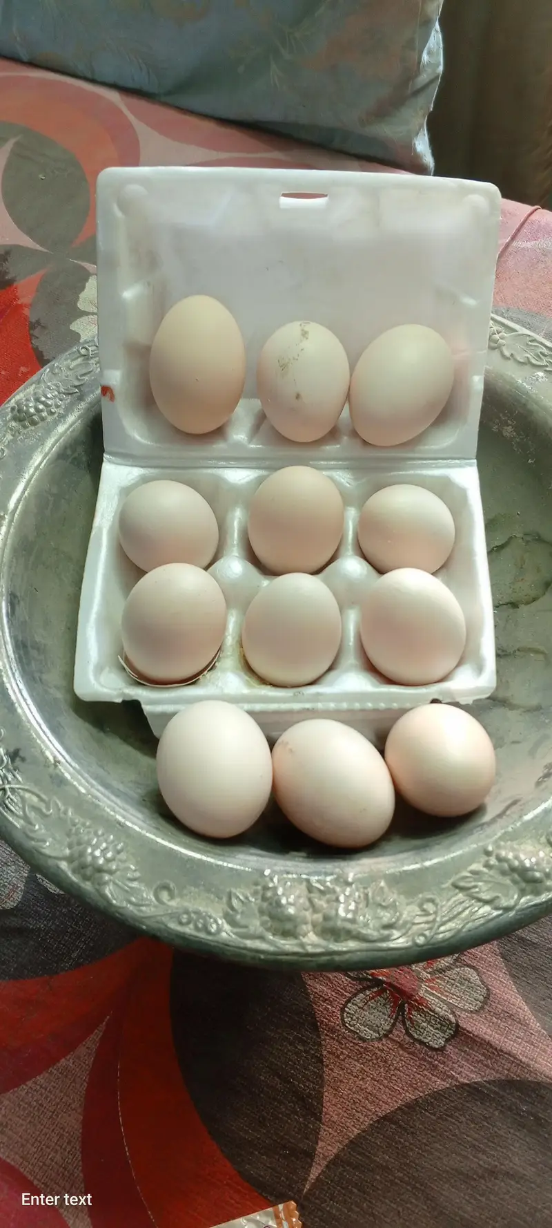 Aseel Lasani Fertilized eggs for sale — photo 3