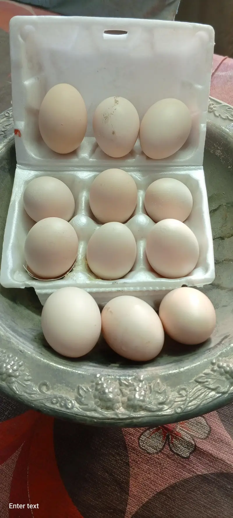Aseel Lasani Fertilized eggs for sale — photo 4