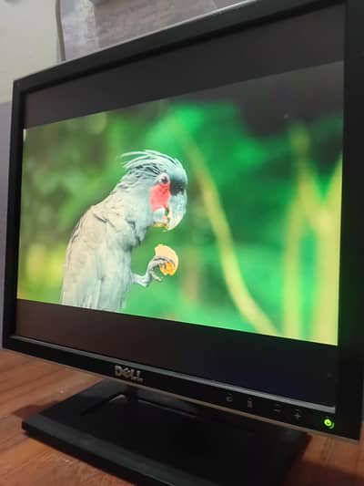17 inch Dell LCD monitor for PC and Android box or tv stick