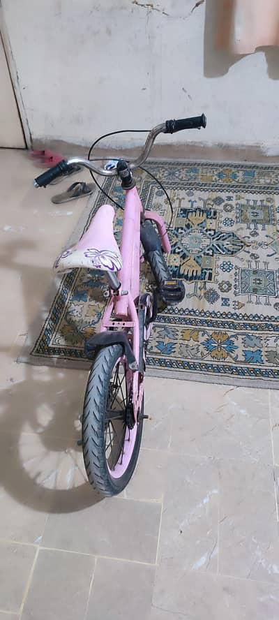 Sport Cycle Pink Colour