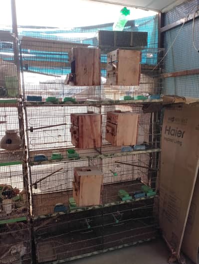 Master folding cage 8 partition