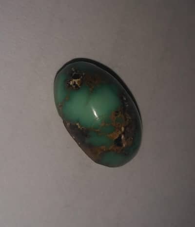 shajri hussaini feroza