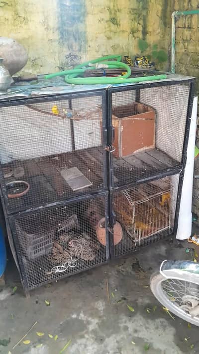 cage for sale