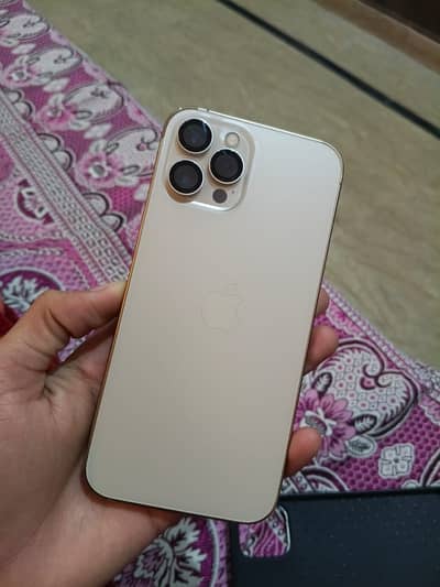 Apple iPhone 12 Pro Max PTA Approved dual sim One hand used