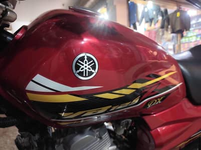 YAMAHA YBZ 125 DX YBZ125DX YB125Z DX seal pack engine new condition