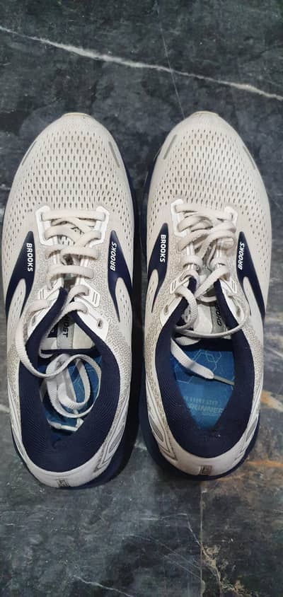 Brooks ghost 14