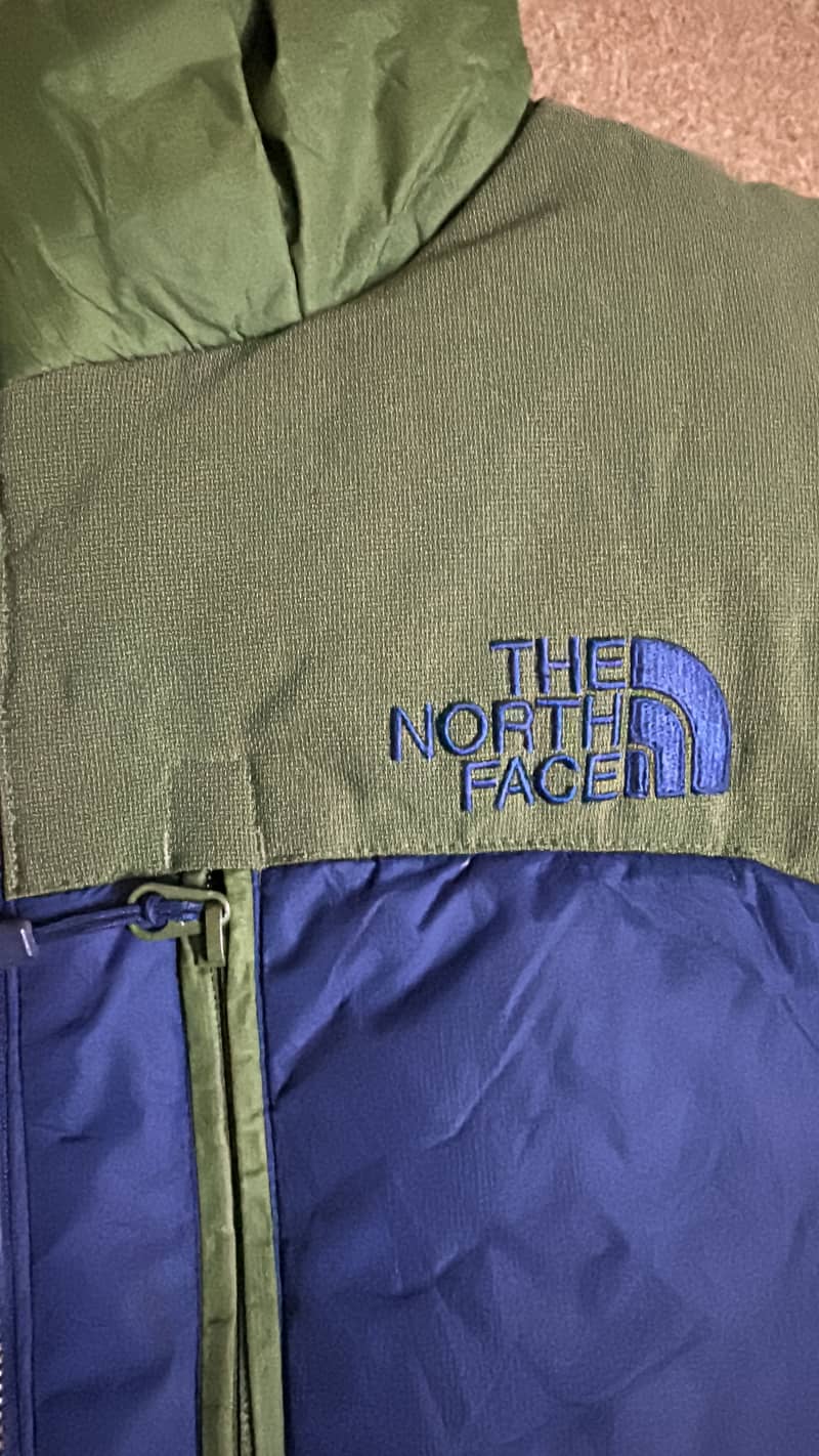 North face  jacket 1