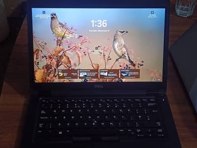 Dell Core i5 8TH Gen, 16GB DDR4 RAM, 256GB SSD, 14-Inch FHD Anti-glare