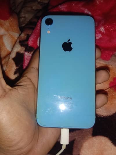 iPhone XR