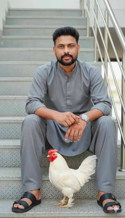 Mansoor 