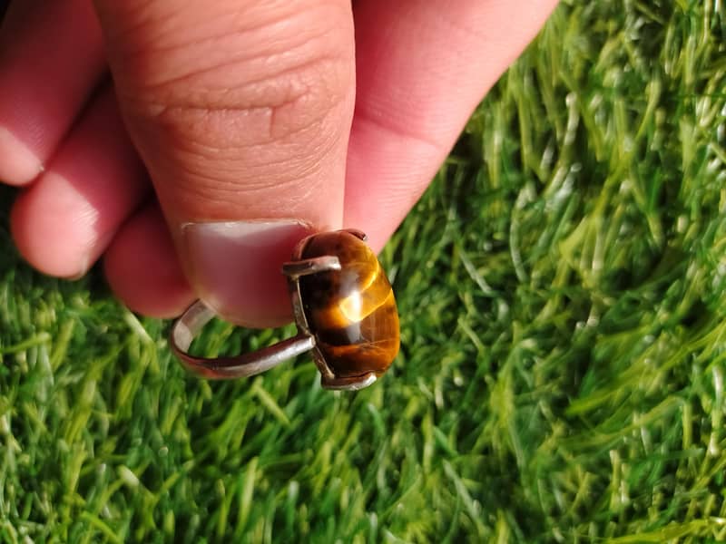Tiger Silver ring 1