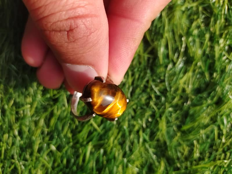 Tiger Silver ring 2