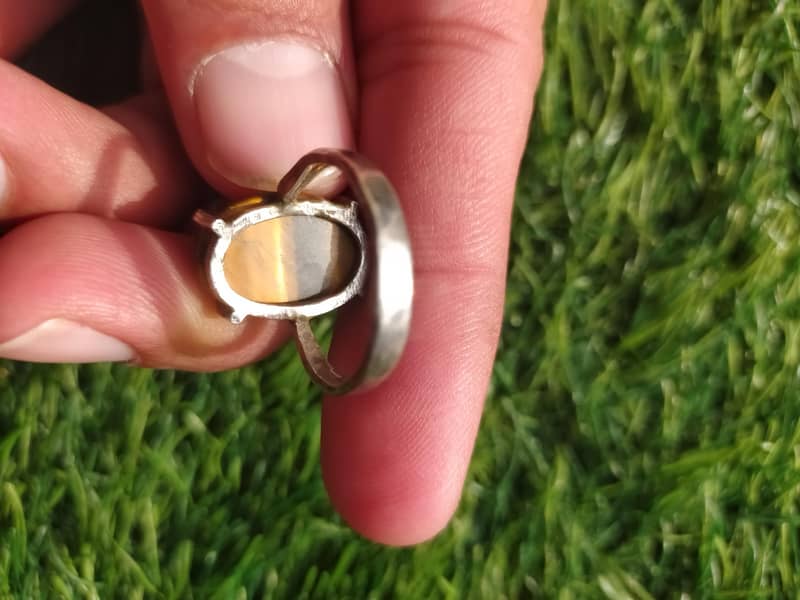 Tiger Silver ring 3