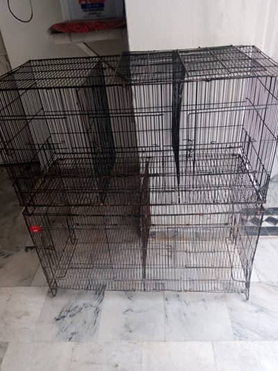 5 Portions Master Cage.