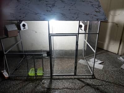 Birds Cage