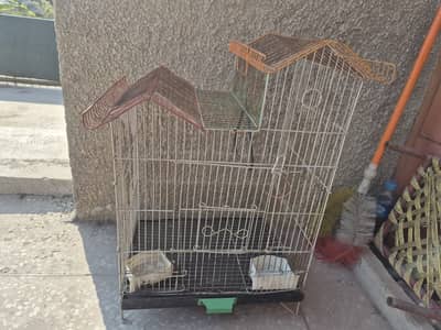 Birds cage