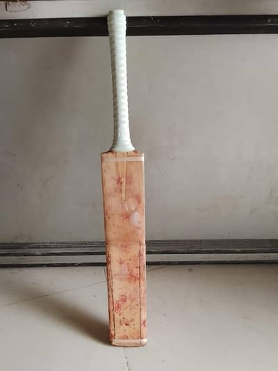 Simple CA Cricket Bat