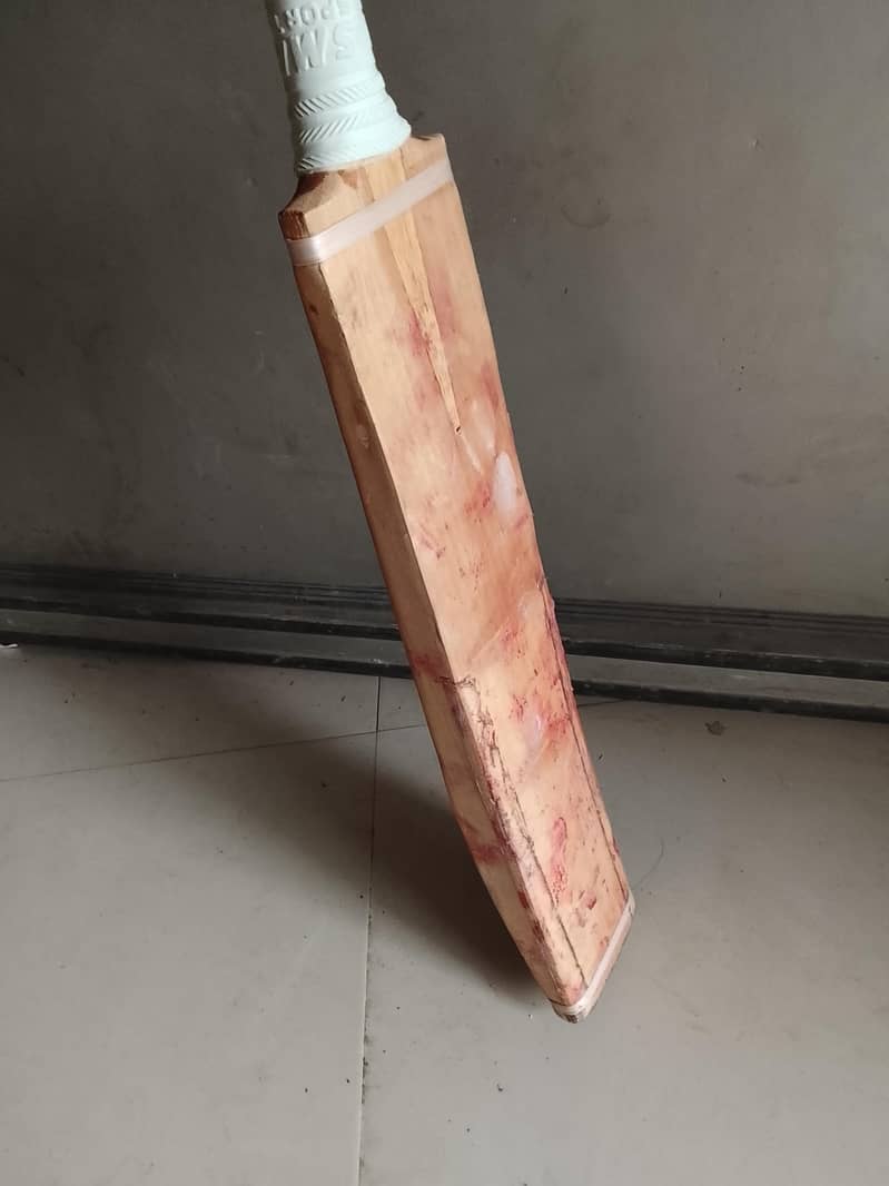Simple CA Cricket Bat 4
