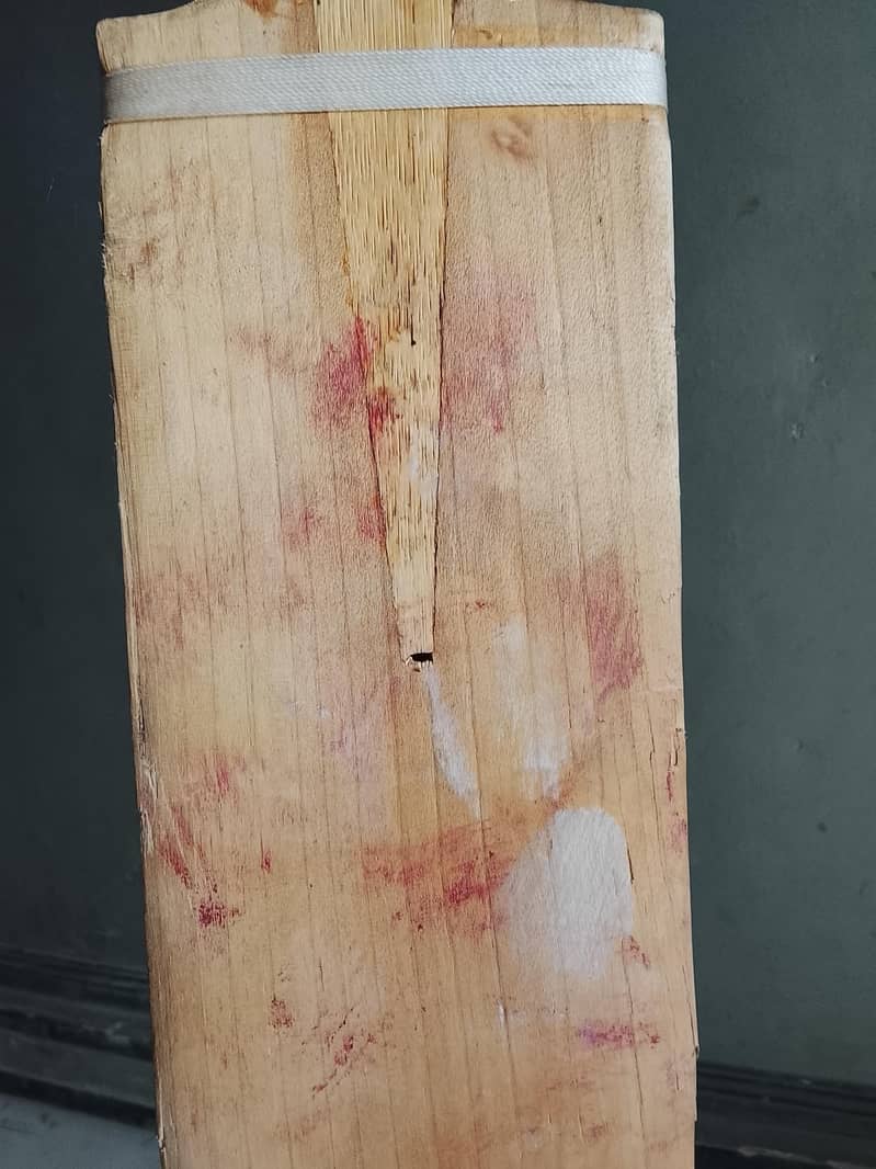 Simple CA Cricket Bat 6