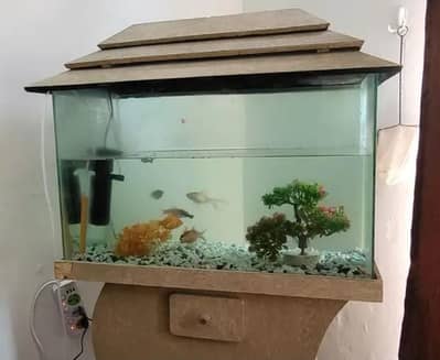 Fish Aquarium/Tank