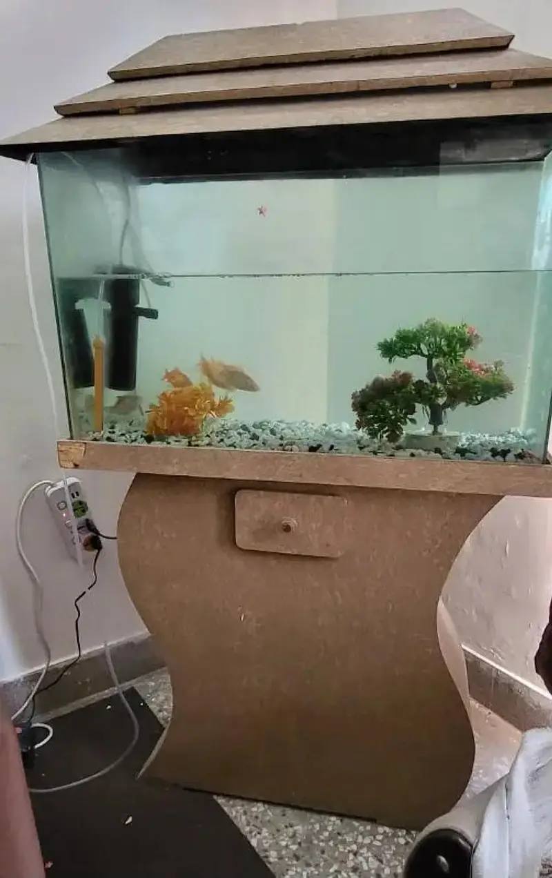 Fish Aquarium/Tank — photo 2
