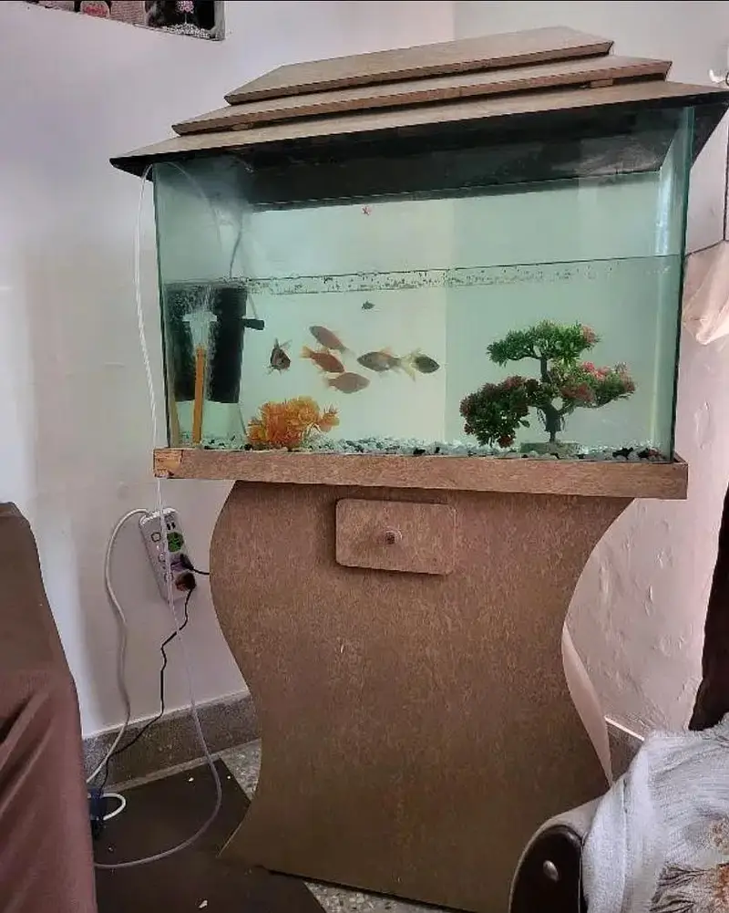 Fish Aquarium/Tank — photo 4