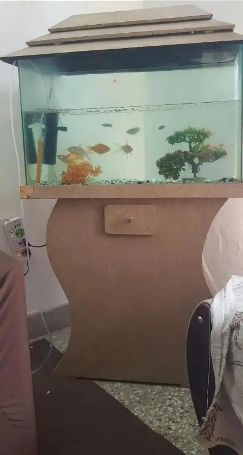 Fish Aquarium/Tank — photo 5