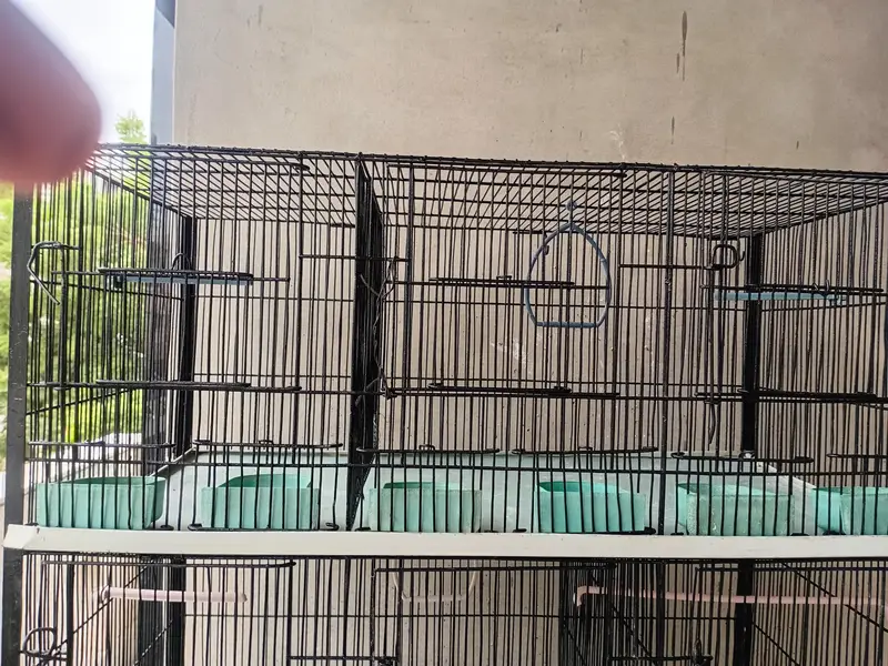 Cage. — photo 9