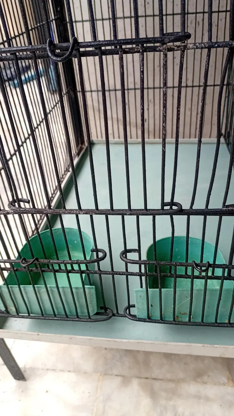 Cage. — photo 10
