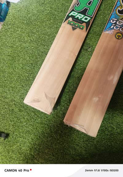 CA 1000 GOLD English wallow