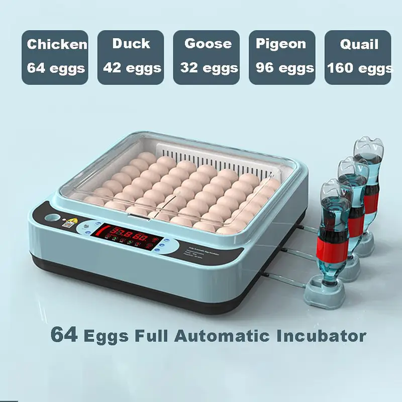 64/24/12 EGGS FULLY AUTOMATIC AC+DC INCUBATOR