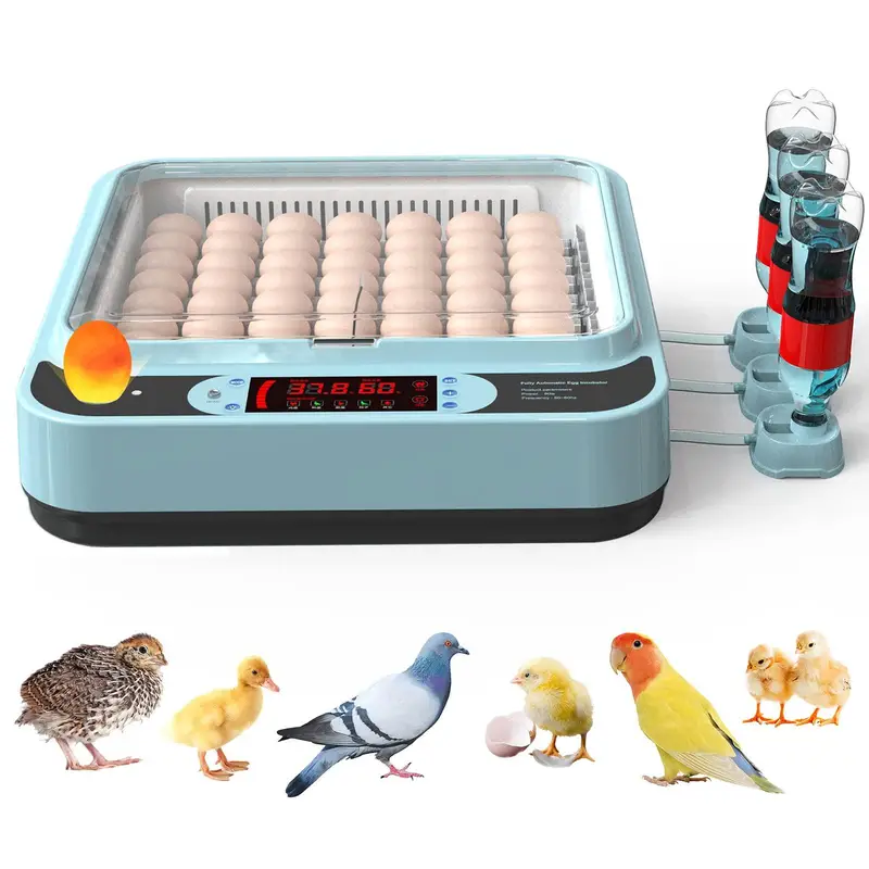 64/24/12 EGGS FULLY AUTOMATIC AC+DC INCUBATOR — photo 2