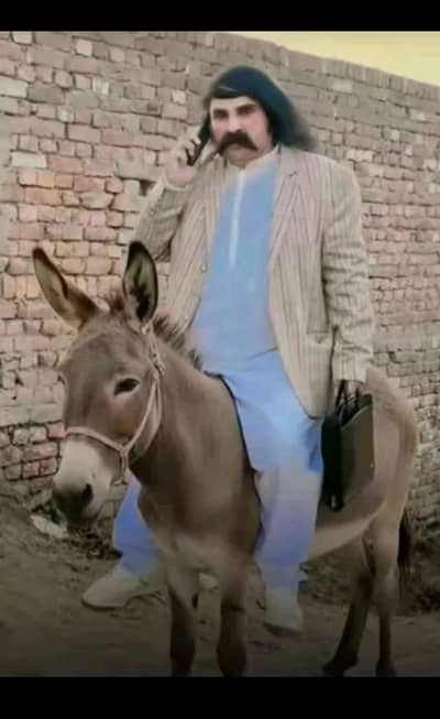 Raju Bhai 
