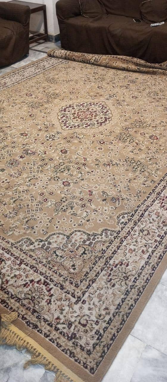 full size carpet 1