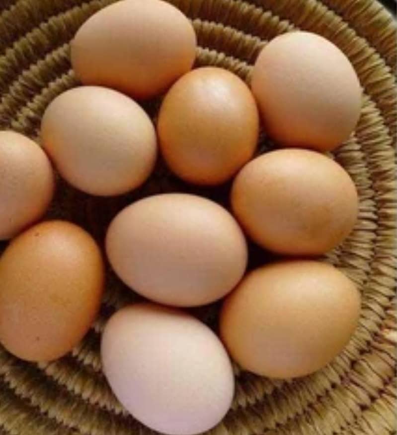 dasi eggs  1