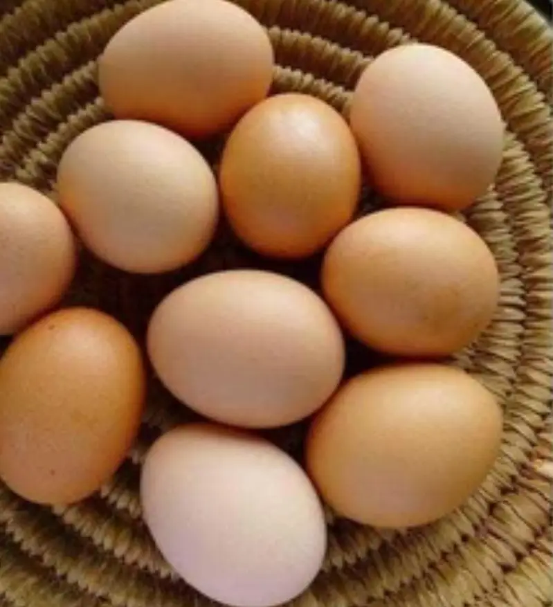 dasi eggs  — photo 2