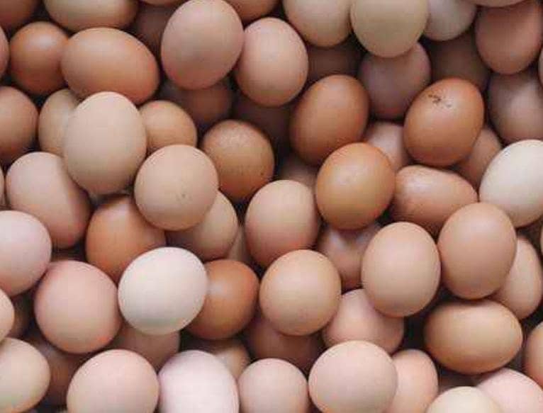 dasi eggs  2