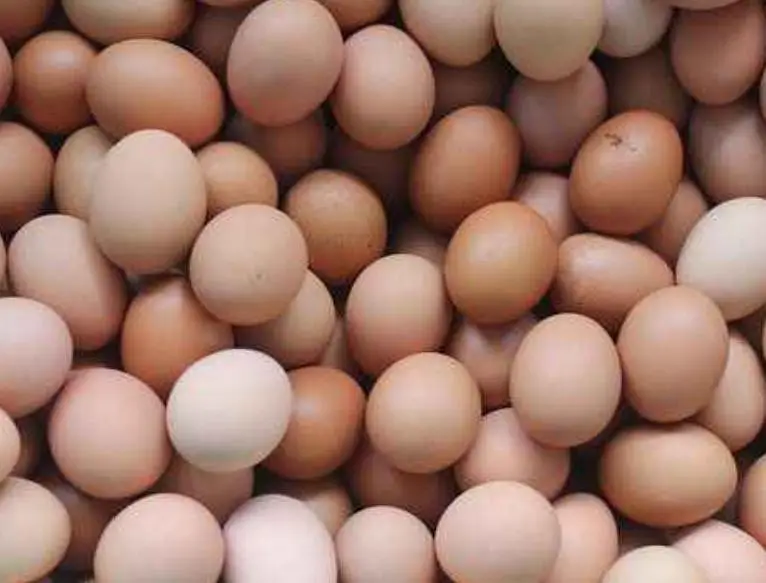 dasi eggs  — photo 3