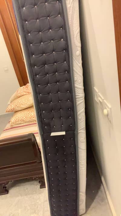 molty (celeste) king size