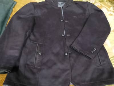 luxurious coat personality