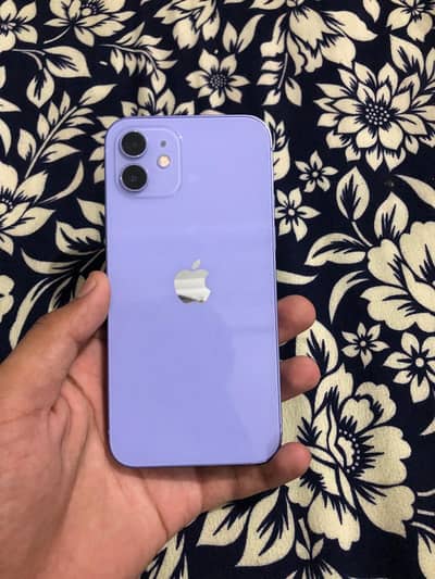 iPhone 12 PTA approved 128 gb