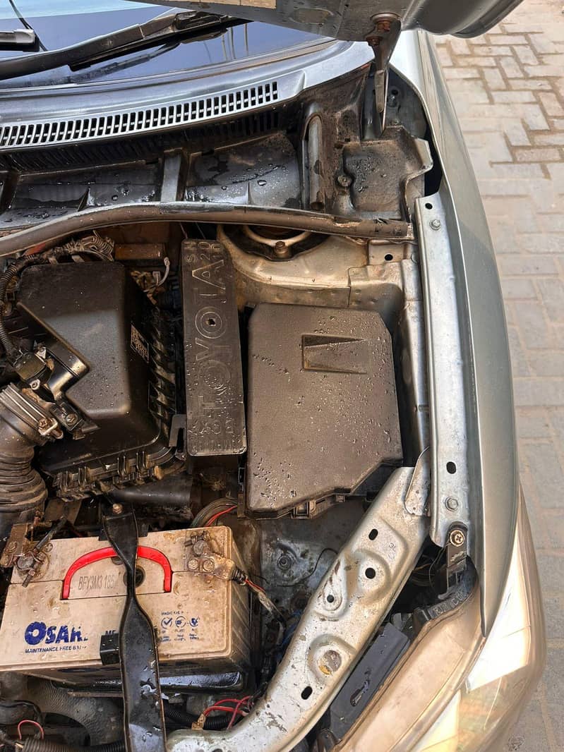 Gli 2013 ( Showered) 4