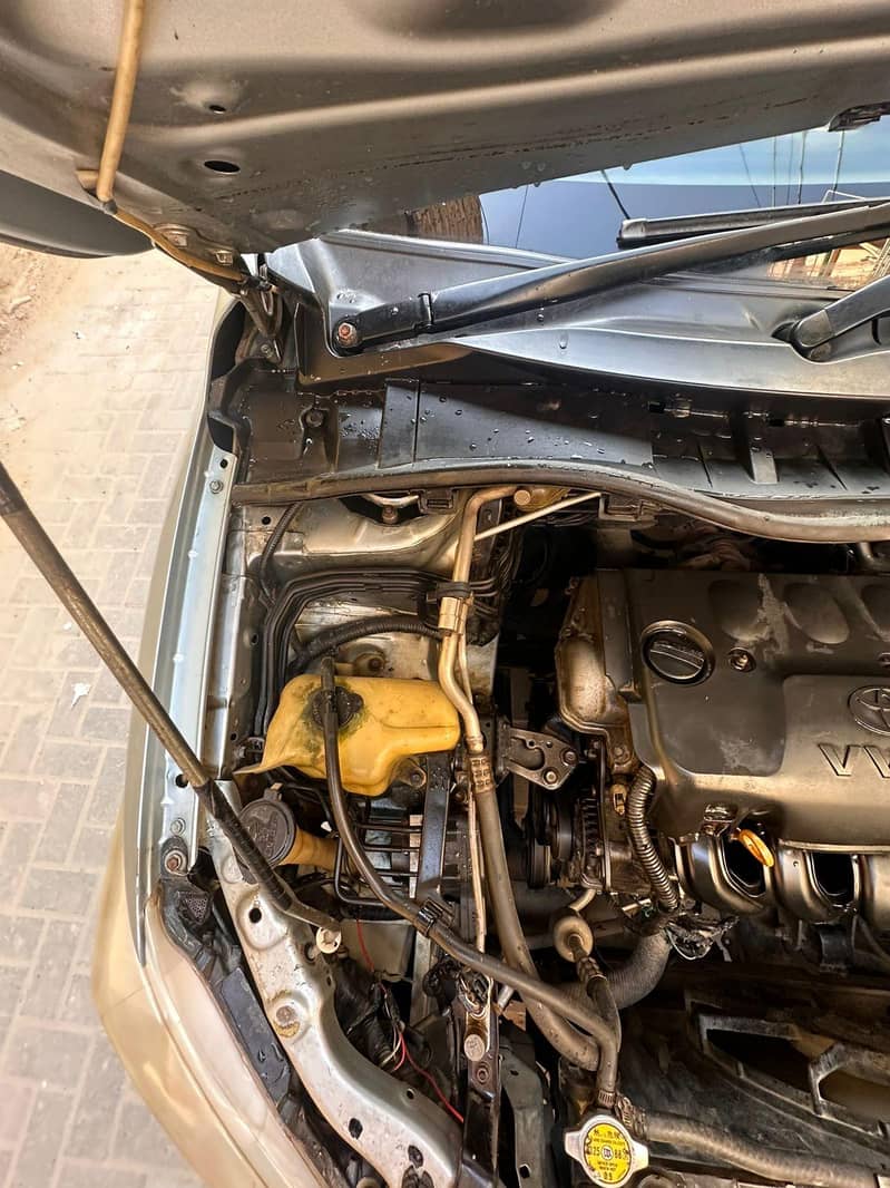 Gli 2013 ( Showered) 5